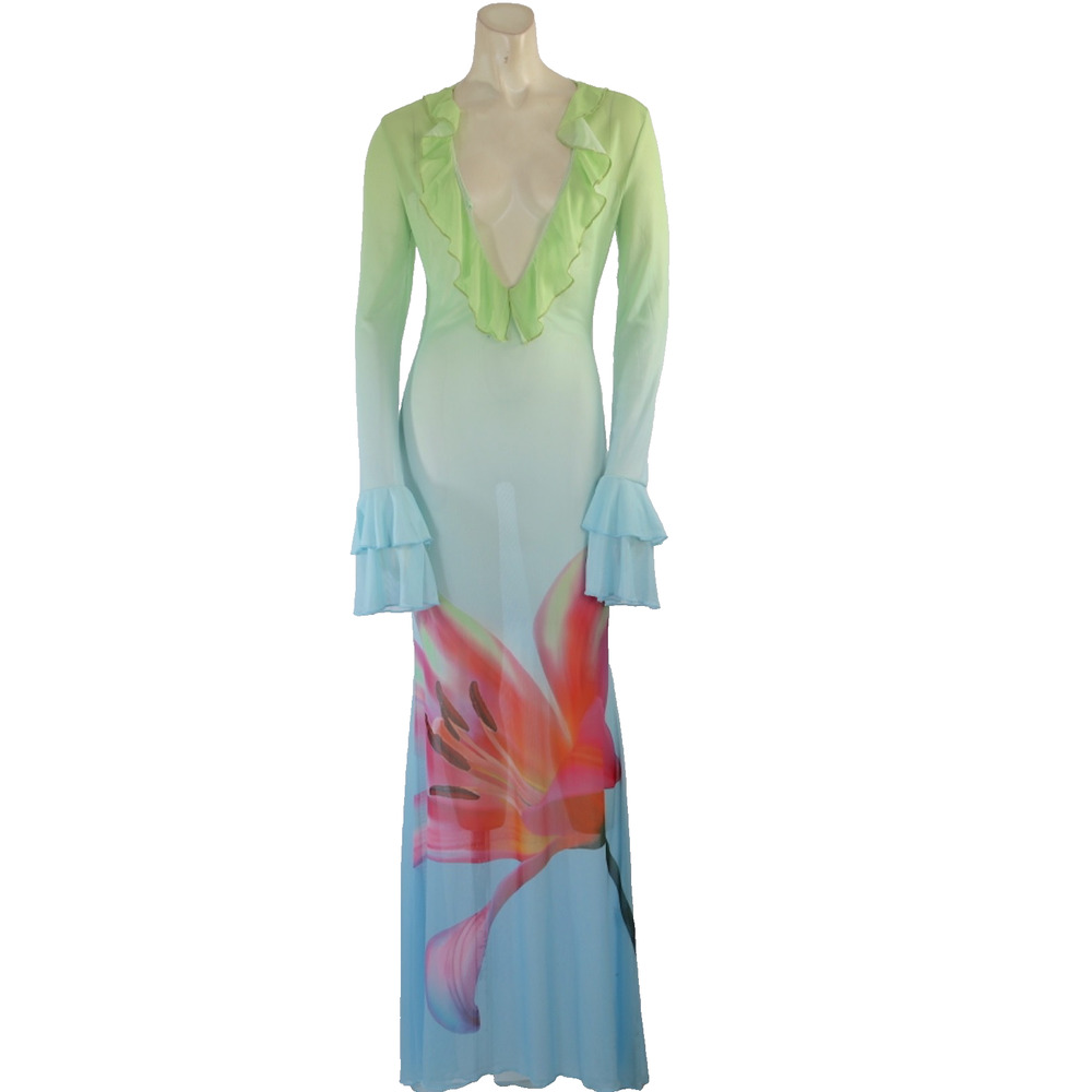 Sheer Mesh Gradient Maxi Dress Sz S Floral Abstract Ruffle Long Sleeve Cover Up